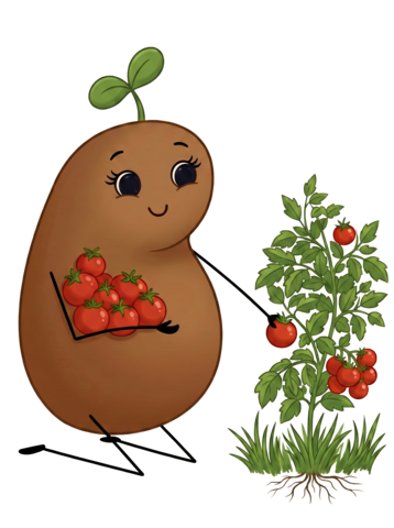 Baby Bean illustration