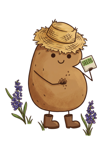 Daddy Bean illustration